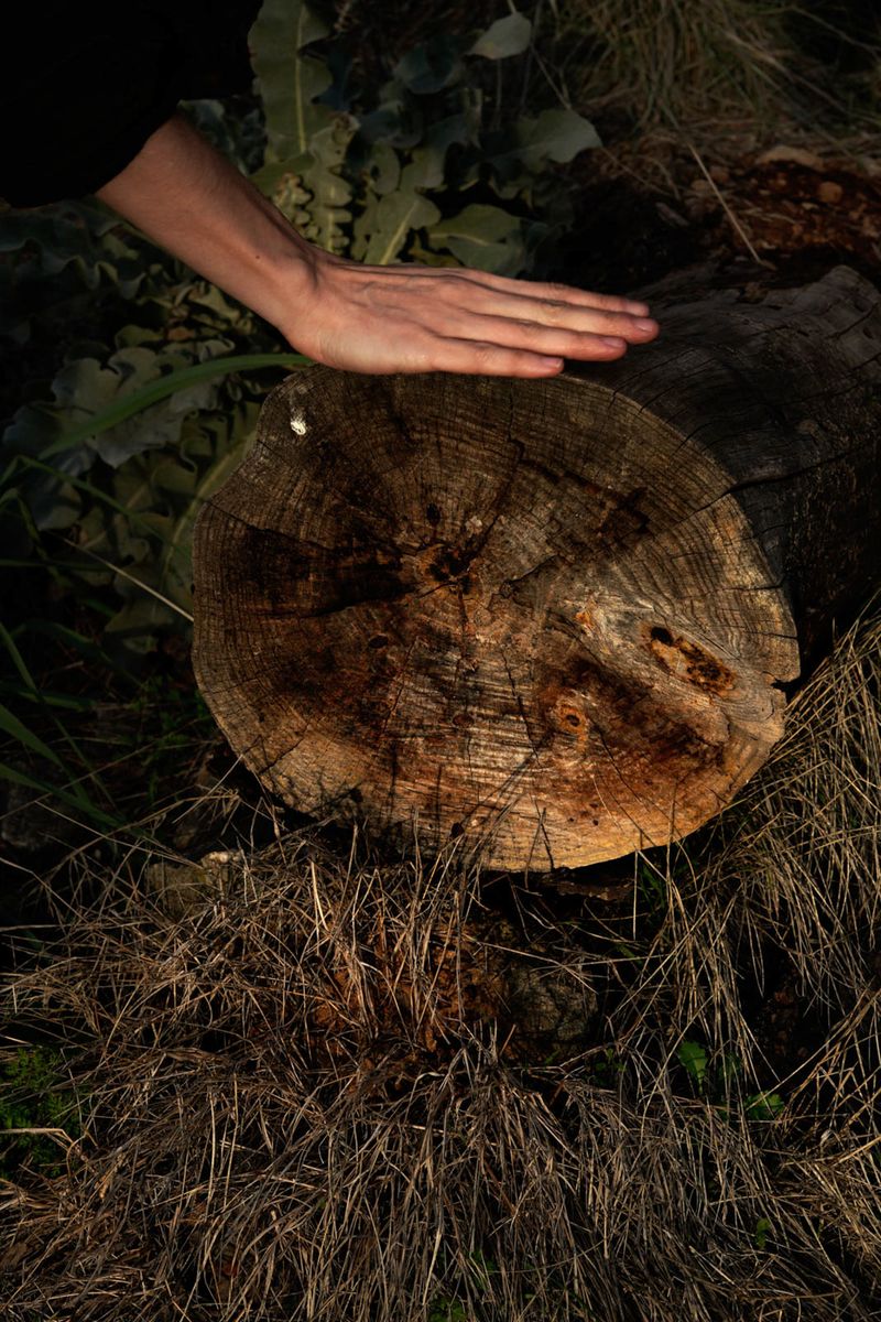 © Ilias Lois - Image from the An Unfinished House has Many Views photography project