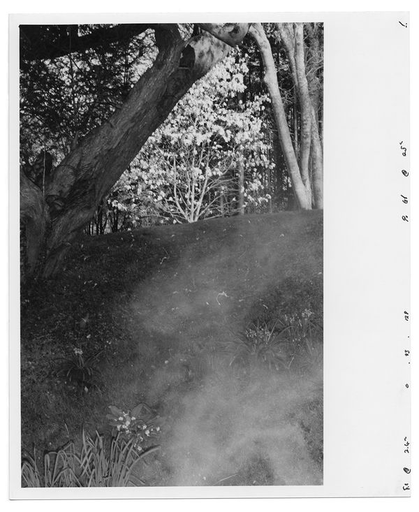 © Eoin Moylan - Image from the Deutsches In Deutschland photography project