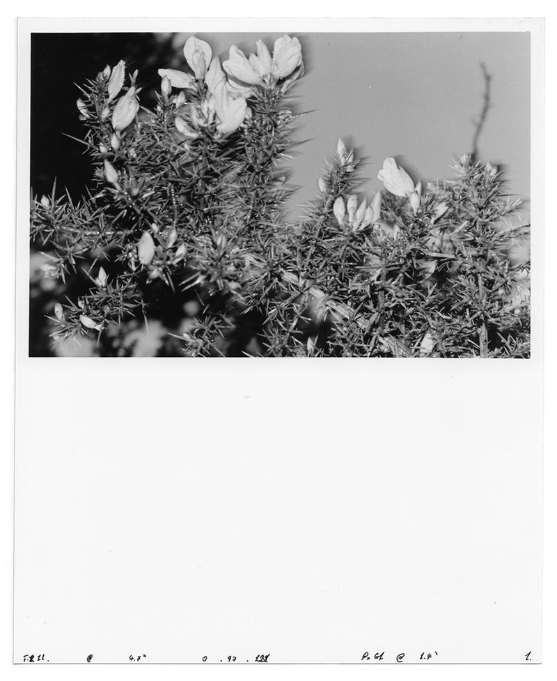 © Eoin Moylan - Image from the Deutsches In Deutschland photography project