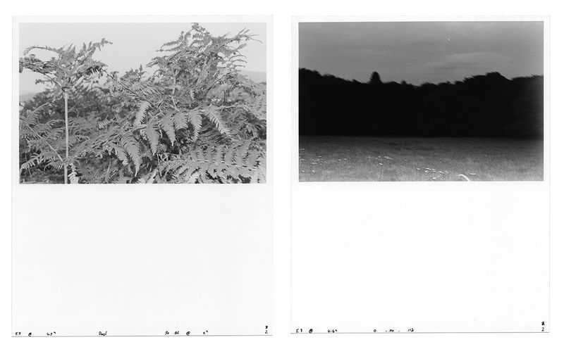 © Eoin Moylan - Image from the Deutsches In Deutschland photography project