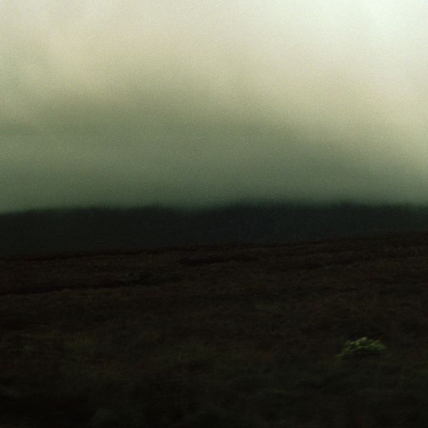 © Emily O'Connell - under the surface - August 2023