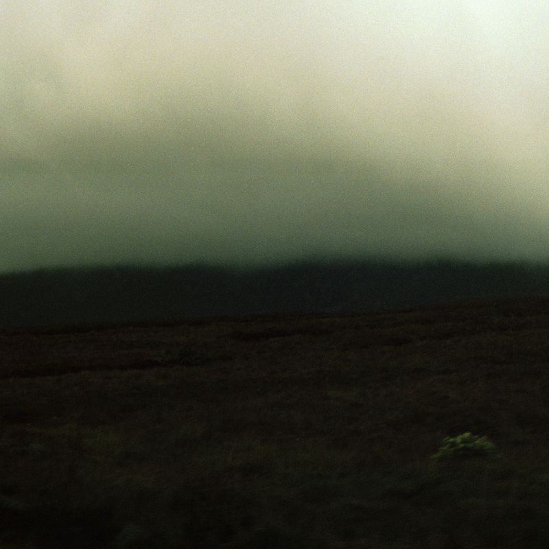 © Emily O'Connell - under the surface - August 2023
