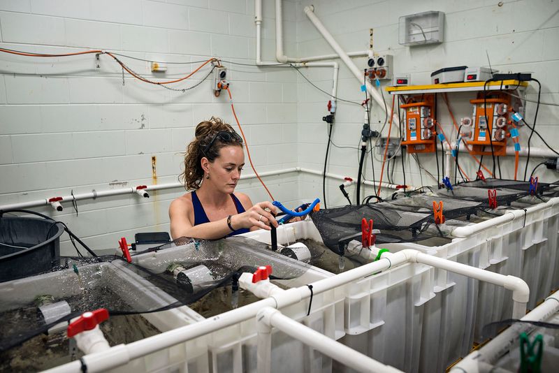 © Giacomo d'Orlando - Image from the Submerged Conscience photography project