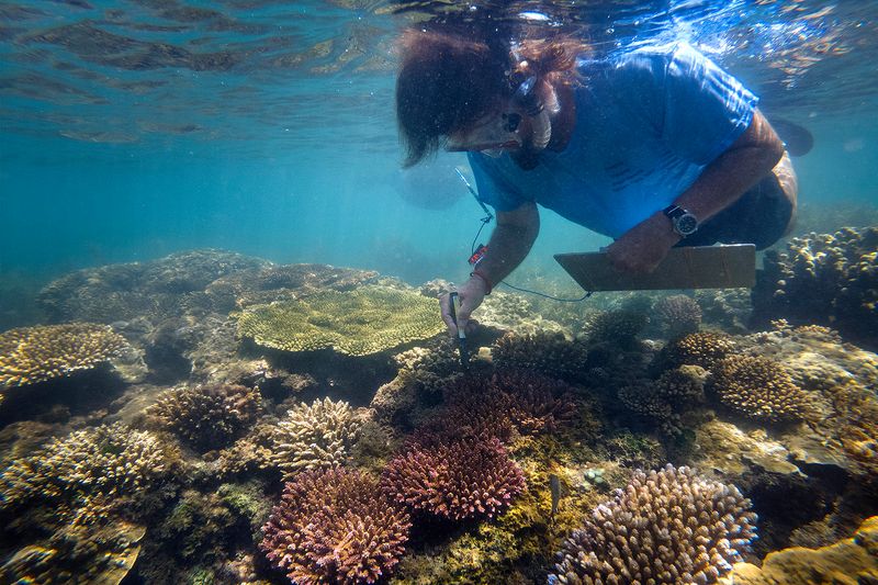 © Giacomo d'Orlando - Image from the Submerged Conscience photography project