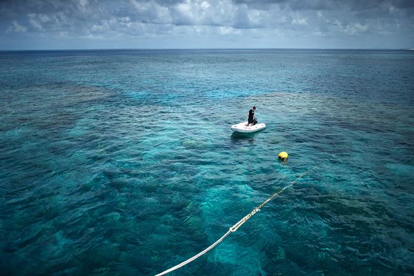 © Giacomo d'Orlando - An operator of Tusa6 is checking from the ocean surface the tourists who are diving through the Hamilton Reef.