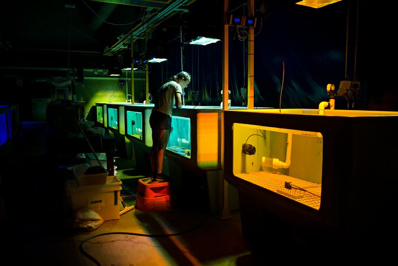 © Giacomo d'Orlando - Image from the Submerged Conscience photography project