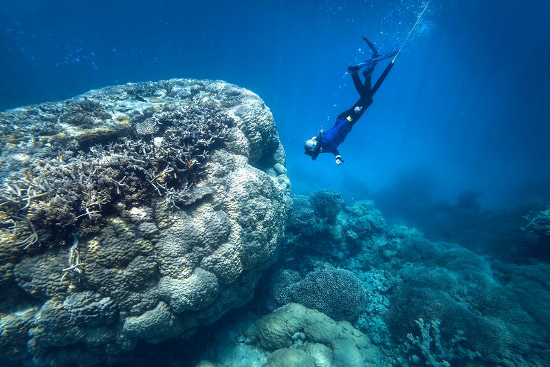 © Giacomo d'Orlando - Image from the Submerged Conscience photography project