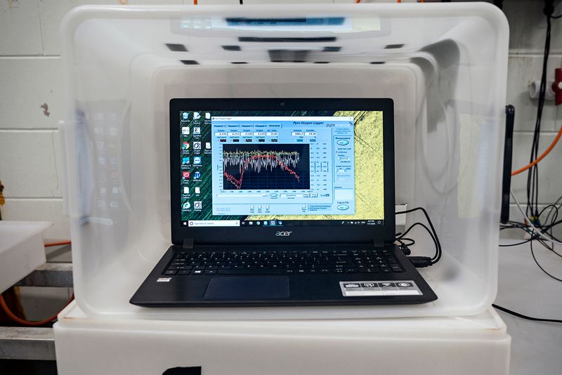 © Giacomo d'Orlando - Image from the Submerged Conscience photography project