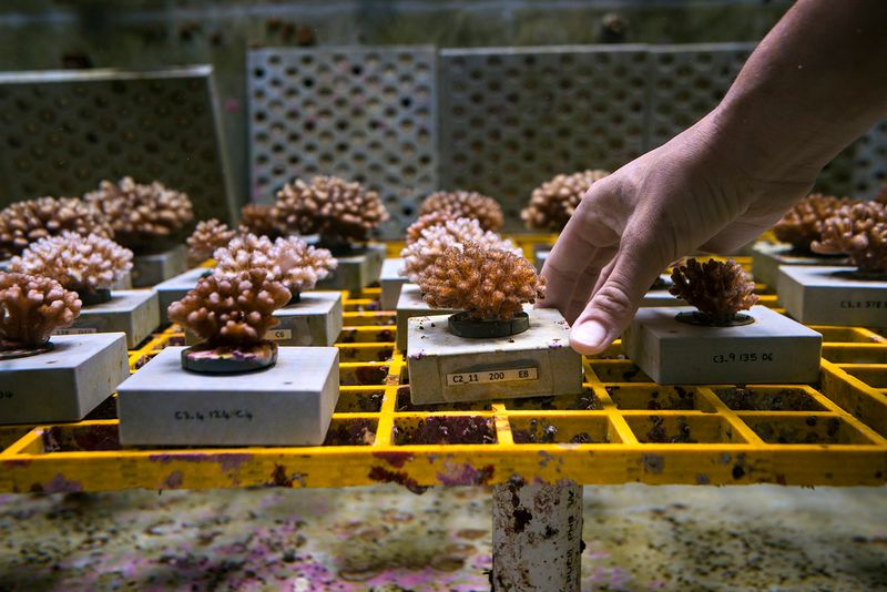 © Giacomo d'Orlando - Image from the Submerged Conscience photography project