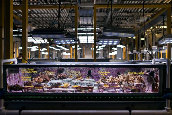 © Giacomo d'Orlando - Image from the Submerged Conscience photography project