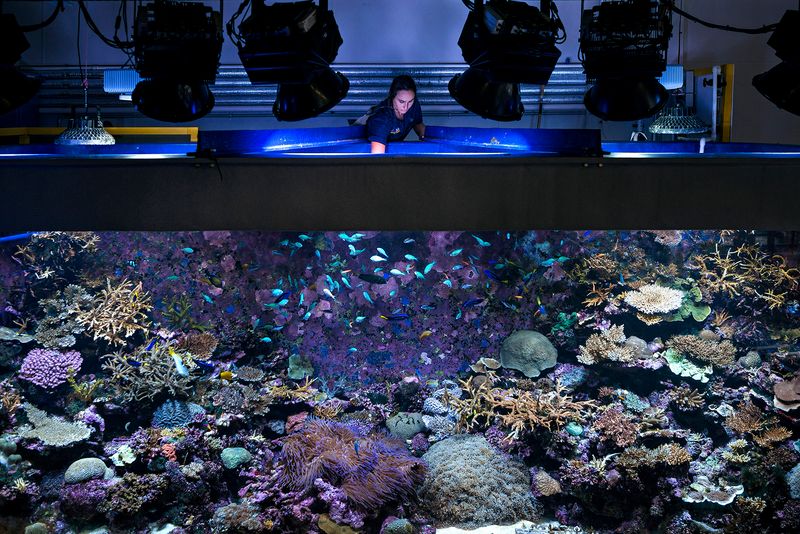 © Giacomo d'Orlando - Image from the Submerged Conscience photography project