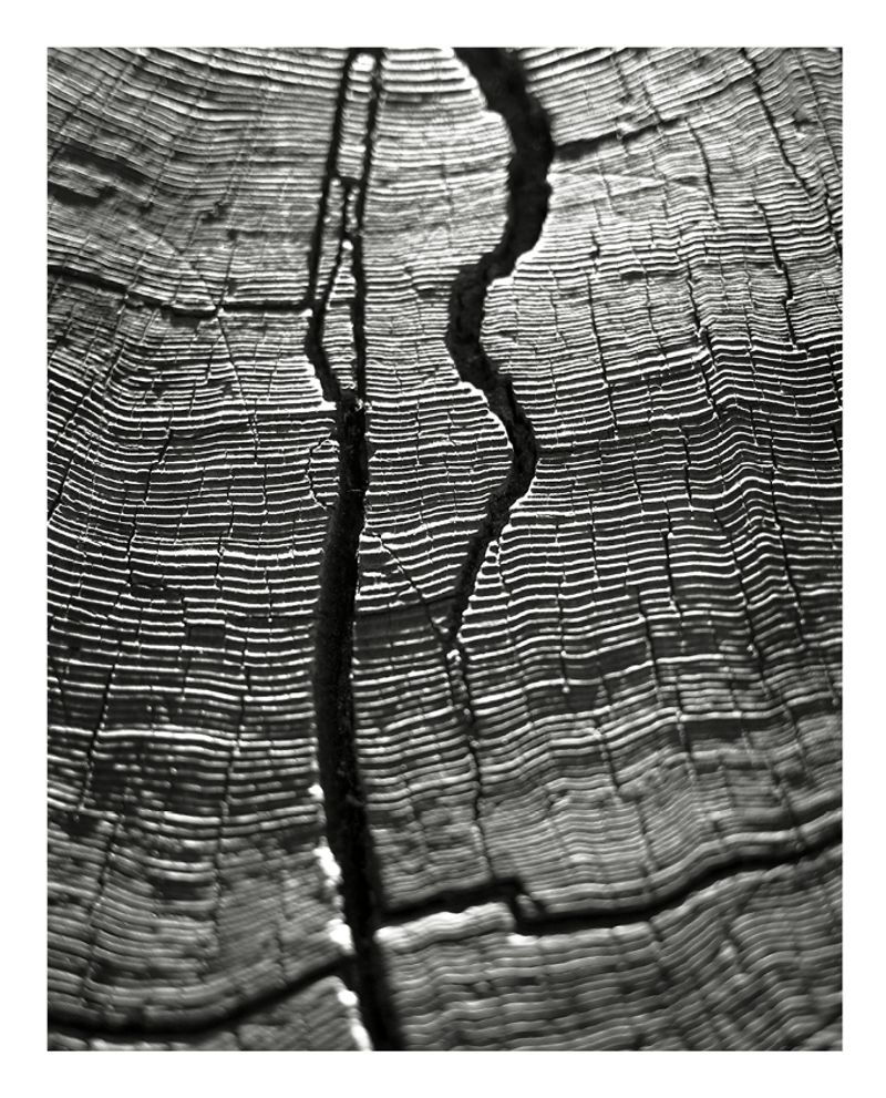 © carola cunzolo - Image from the Witness photography project