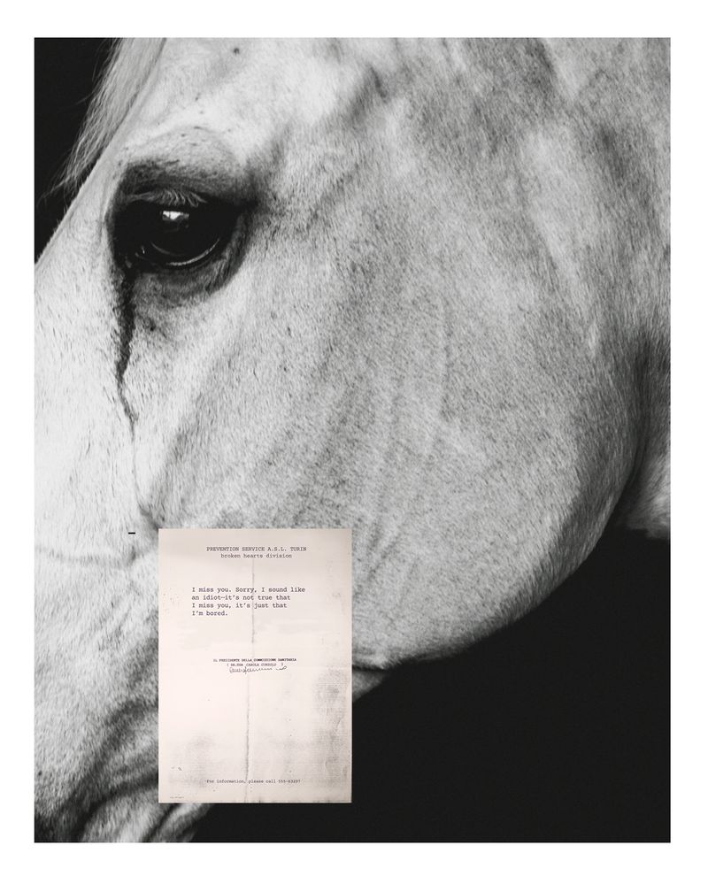 © carola cunzolo - Image from the Witness photography project