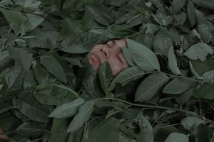 Shipibo-Konibo: an indigenous community resists with medicinal plants against the COVID-19 virus