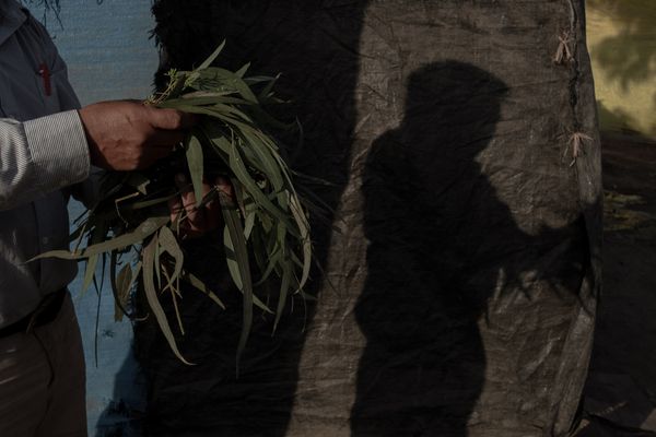 © Florence Goupil - Image from the Shipibo-Konibo: an indigenous community resists with medicinal plants against the COVID-19 virus photography project