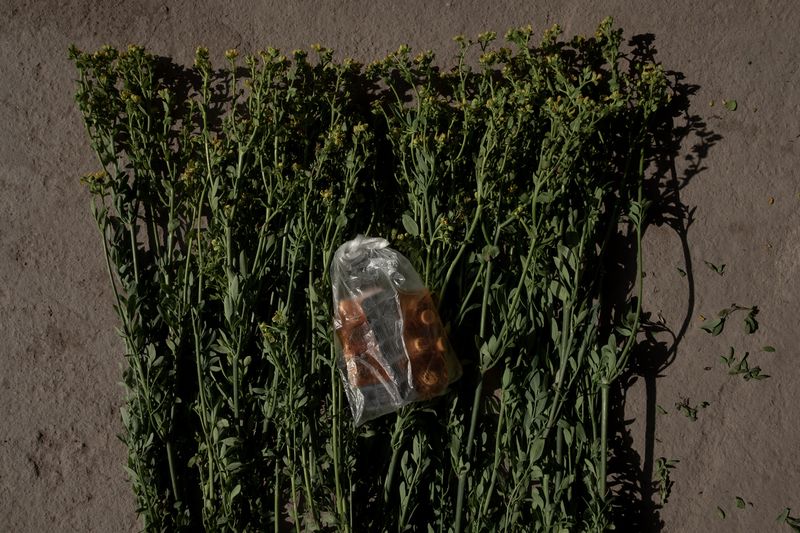 © Florence Goupil - Image from the Shipibo-Konibo: an indigenous community resists with medicinal plants against the COVID-19 virus photography project