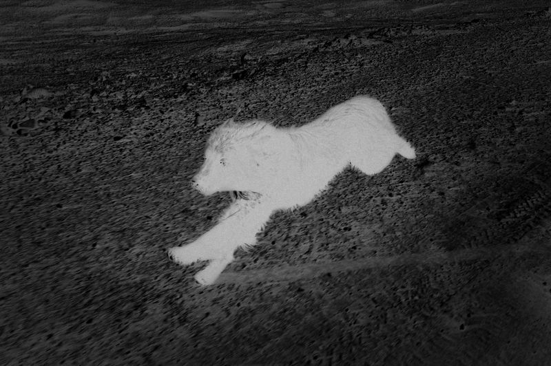 © Florence Goupil - The guide.