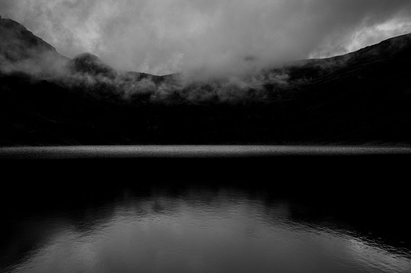 © Florence Goupil - Where he came from.