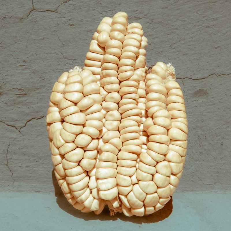 © Florence Goupil - Image from the The Whisper of Maize photography project