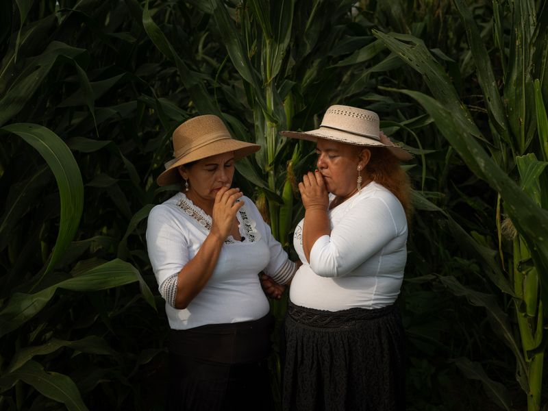 © Florence Goupil - Image from the The Whisper of Maize photography project