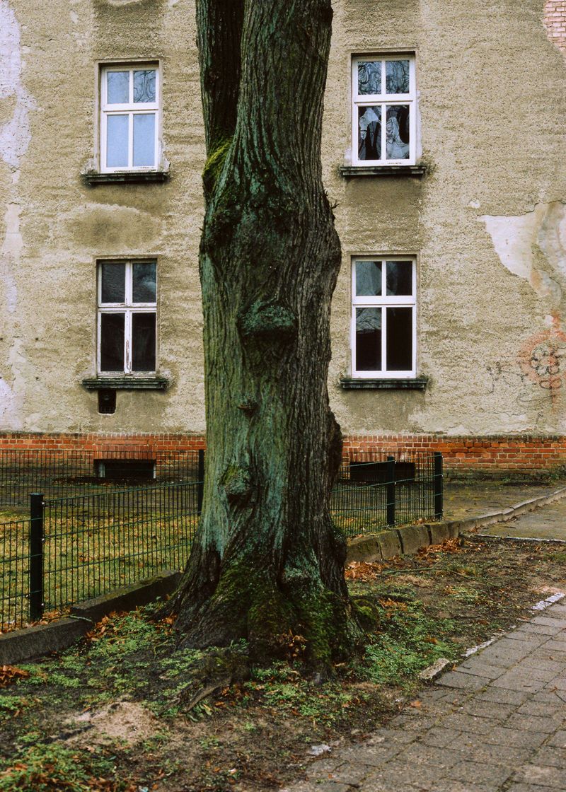 © Andrés Solla - Image from the A River Without Bridges photography project