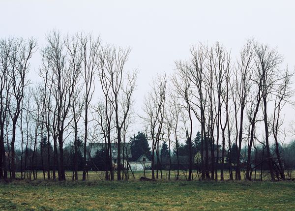 © Andrés Solla - Image from the A River Without Bridges photography project