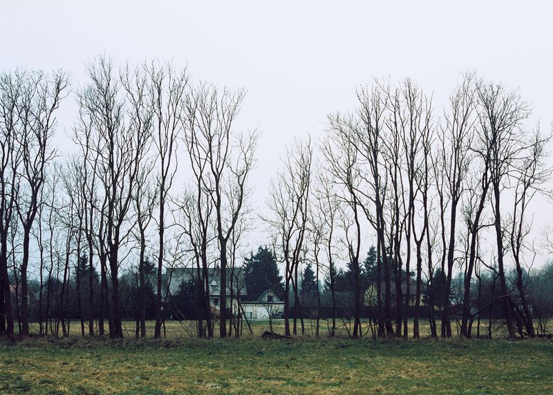 © Andrés Solla - Image from the A River Without Bridges photography project