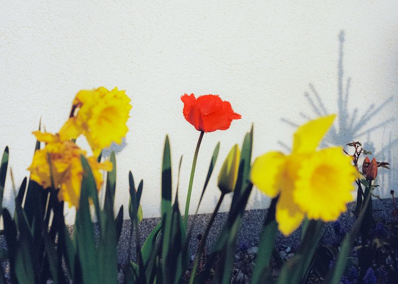 © Andrés Solla - Image from the A River Without Bridges photography project