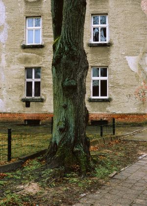 A River Without Bridges