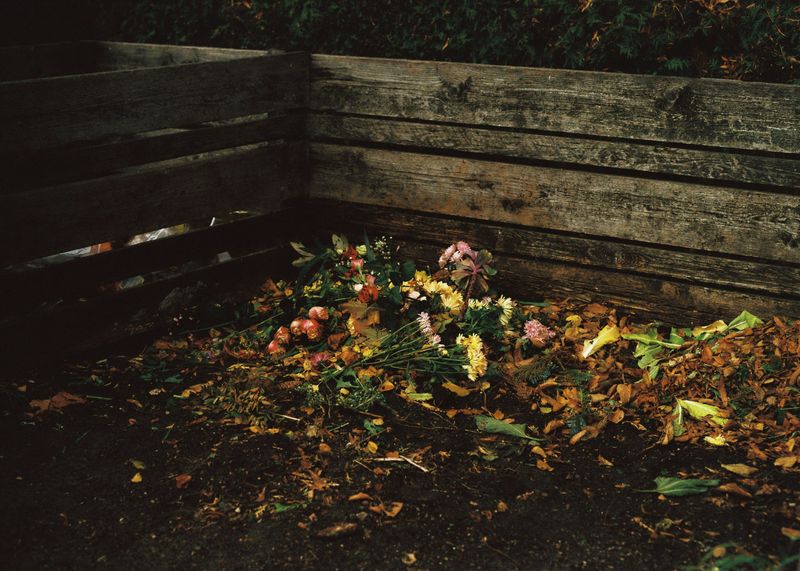 © Andrés Solla - Image from the A River Without Bridges photography project