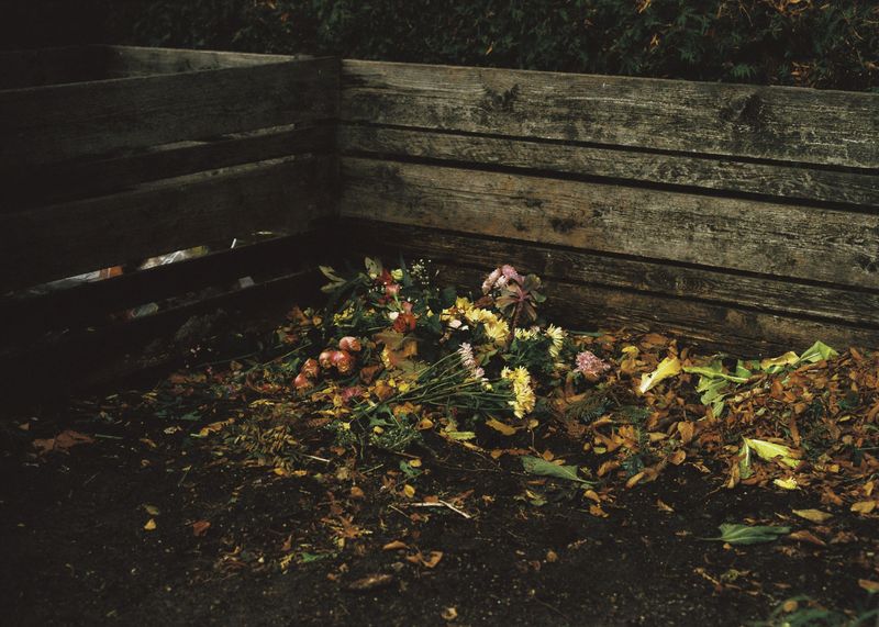 © Andrés Solla - Image from the A River Without Bridges photography project