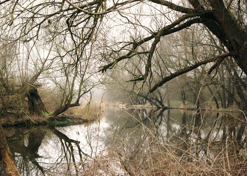 © Andrés Solla - The Peene, one of the three rivers that surround Demmin, is part of the darkest chapter in the town’s history.