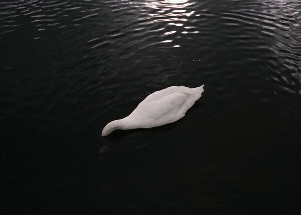 © Andrés Solla - Image from the A River Without Bridges photography project