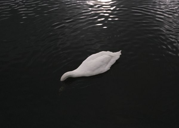 © Andrés Solla - Image from the A River Without Bridges photography project