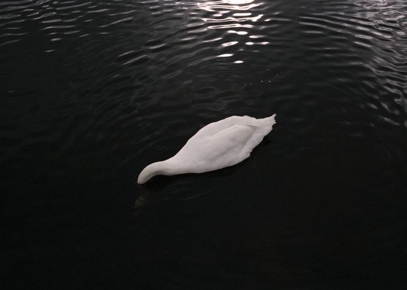 © Andrés Solla - Image from the A River Without Bridges photography project