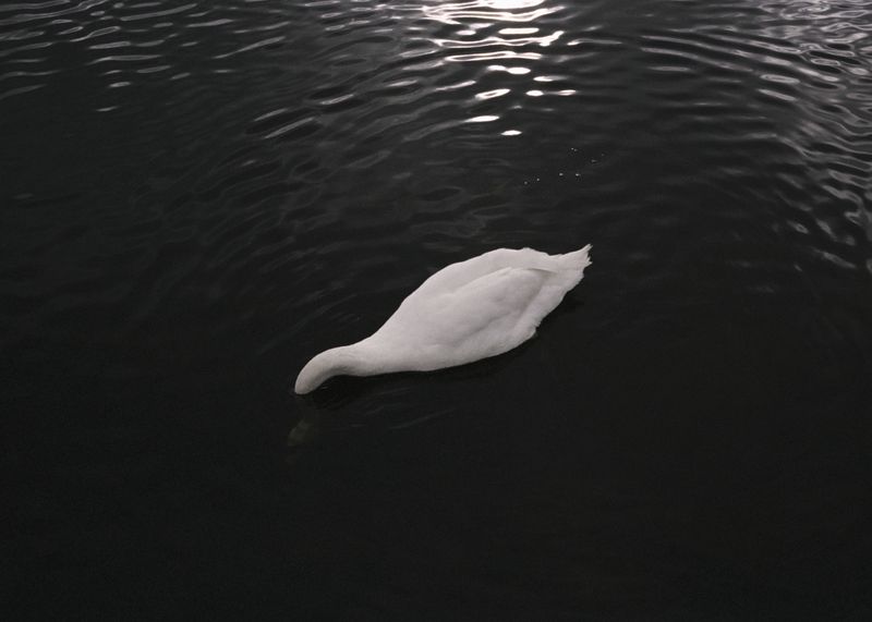 © Andrés Solla - Image from the A River Without Bridges photography project