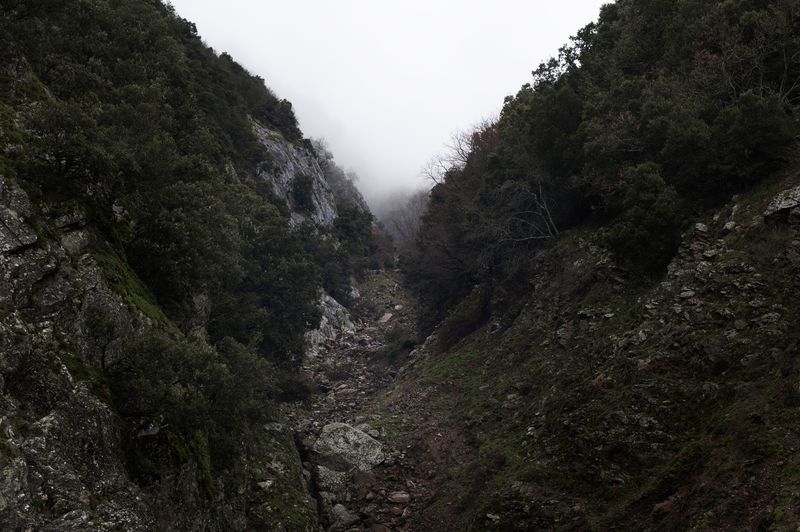 © Domenico Fabio Itri - A path in the heart of Aspromonte.
