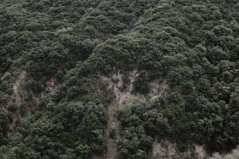 © Domenico Fabio Itri - Staiti (Reggio Calabria). Probably the place where Mariangela Passiatore was held captive.