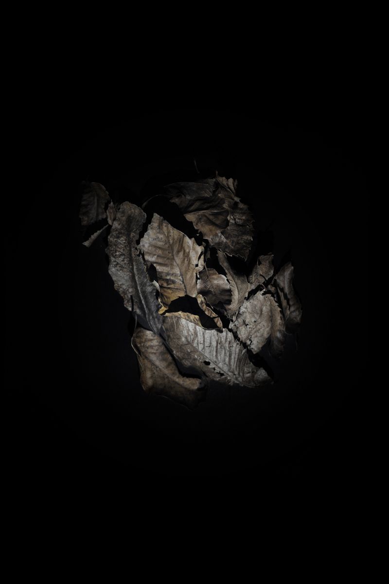 © Domenico Fabio Itri - The kidnappers hid their victims in pits a meter deep. These subterranean prisons were usually covered with leaves.