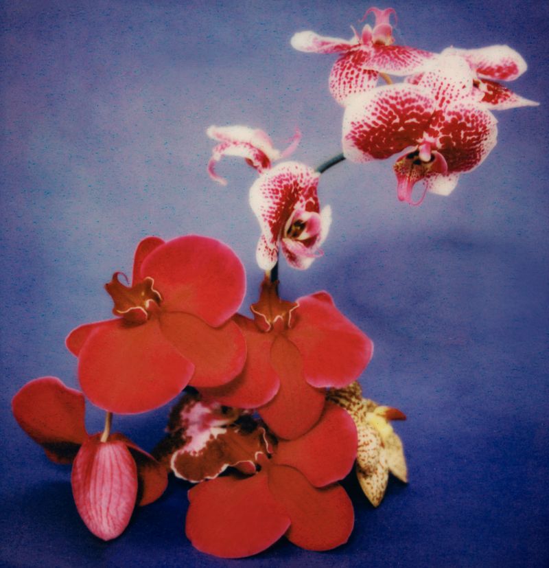 © Yung Hua Chen - Image from the The Distance of Dreams photography project