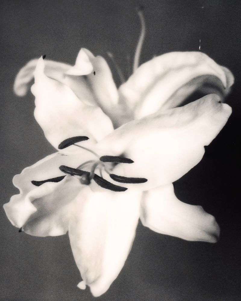 © Yung Hua Chen - Image from the The Distance of Dreams photography project