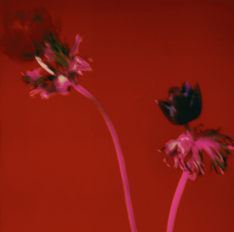 © Yung Hua Chen - Image from the The Distance of Dreams photography project