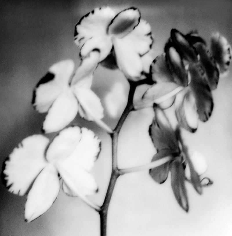 © Yung Hua Chen - Image from the The Distance of Dreams photography project