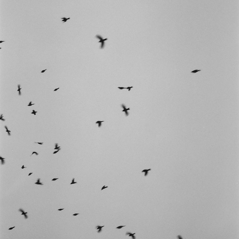© Yung Hua Chen - Image from the The Distance of Dreams photography project