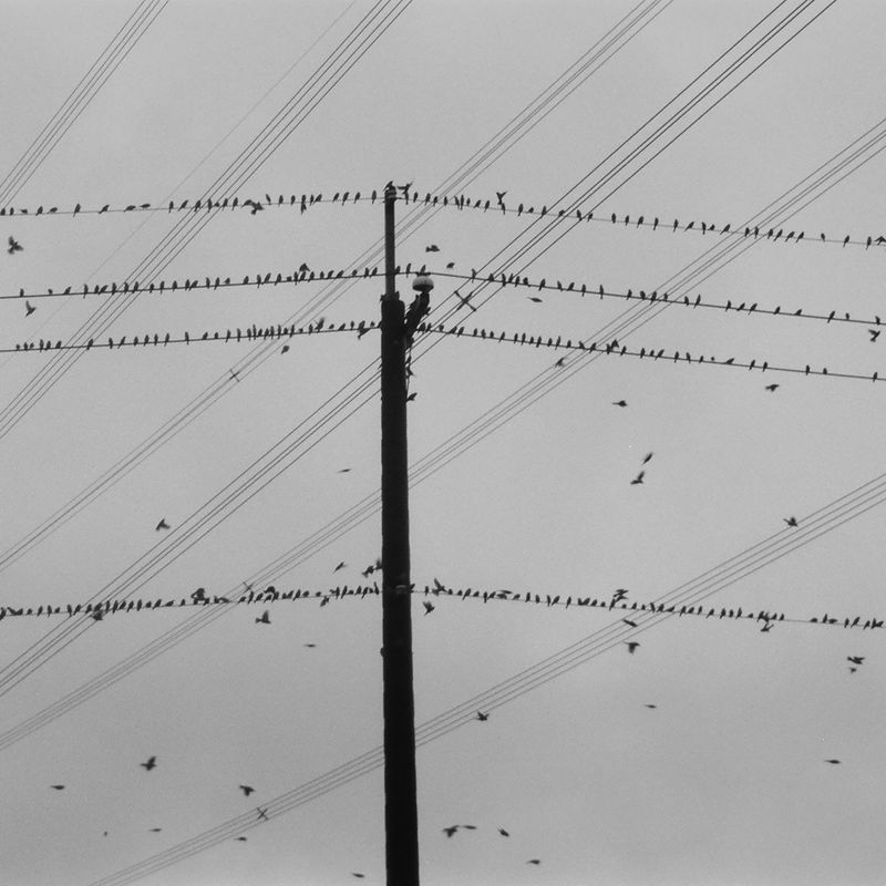 © Yung Hua Chen - Image from the The Distance of Dreams photography project