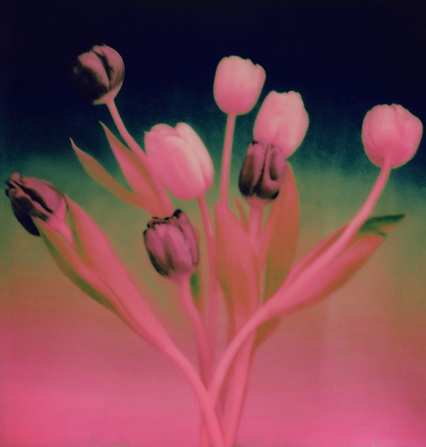 © Yung Hua Chen - Image from the The Distance of Dreams photography project