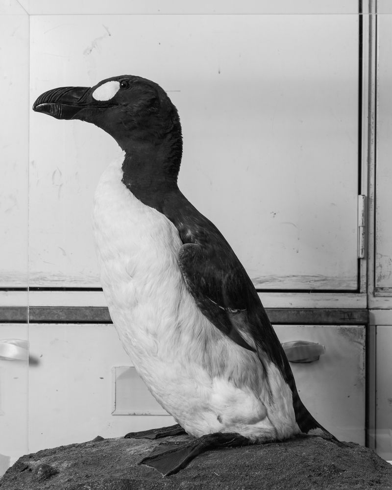 © Madeline Cass - Image from the sky burial photography project