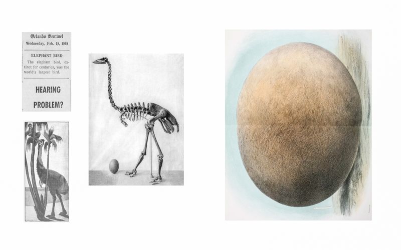 © Madeline Cass - Image from the sky burial photography project