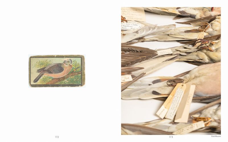 © Madeline Cass - Image from the sky burial photography project