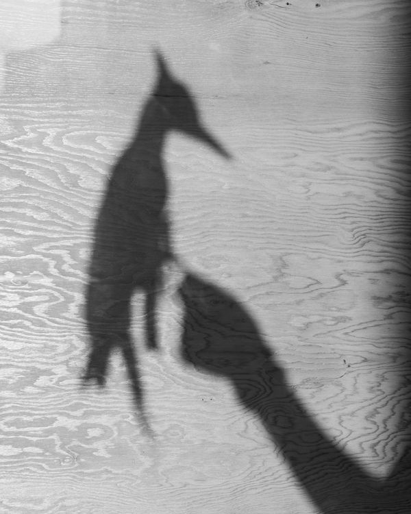 © Madeline Cass - Image from the sky burial photography project